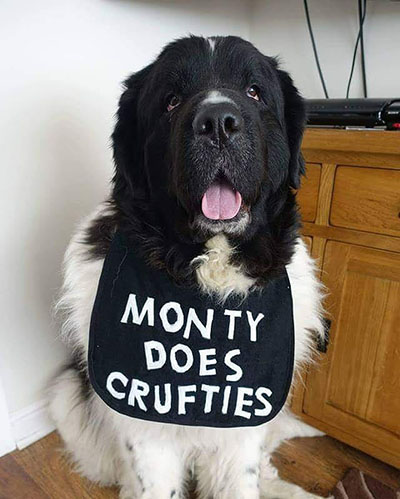 Monty does Crufties