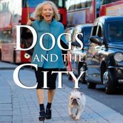 Dogs and the City