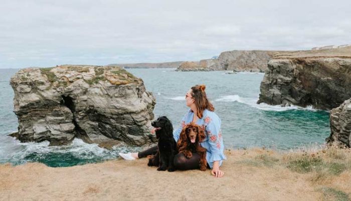 Steph and the Spaniels