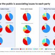 Pulsar social election index