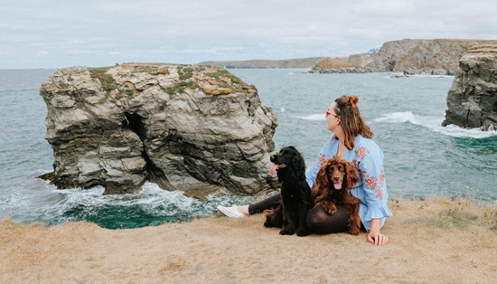 Steph and the Spaniels