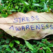 Stress Awareness Month