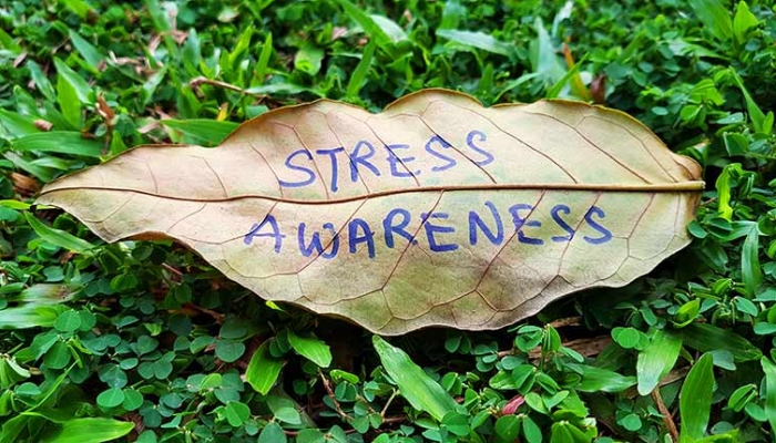 Stress Awareness Month