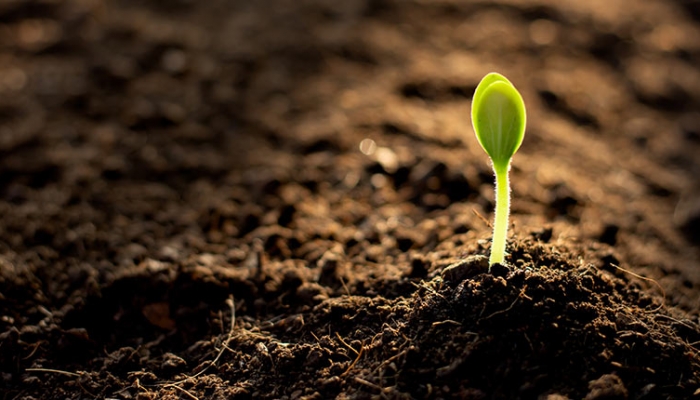 Sustainably managing the soil is crucial to biodiversity