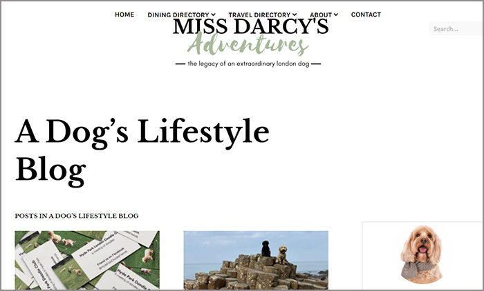 Miss Darcy's Adventures