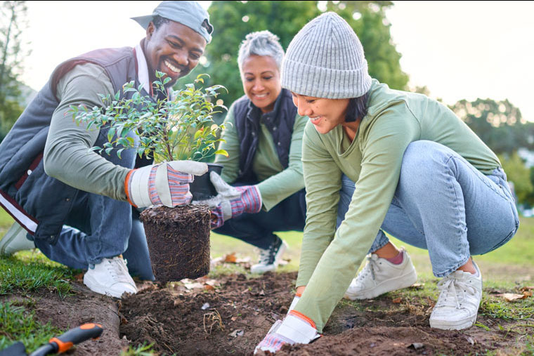 gardeners planting seeds